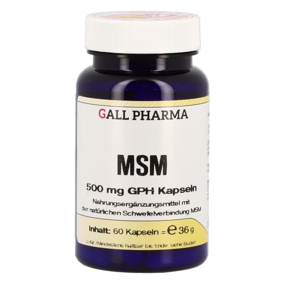 MSM KPS  500MG GPH - 60 Stück