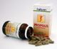 Hafesan Propolis 400 mg Kapseln - 60 Stück